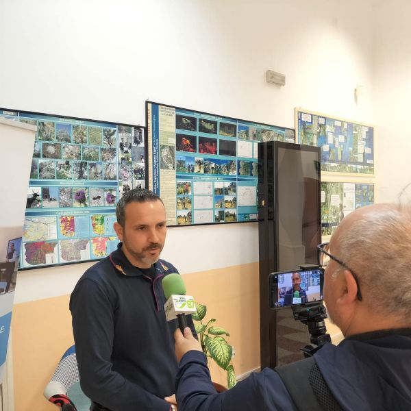 Giornata Mondiale della Sicurezza 2024